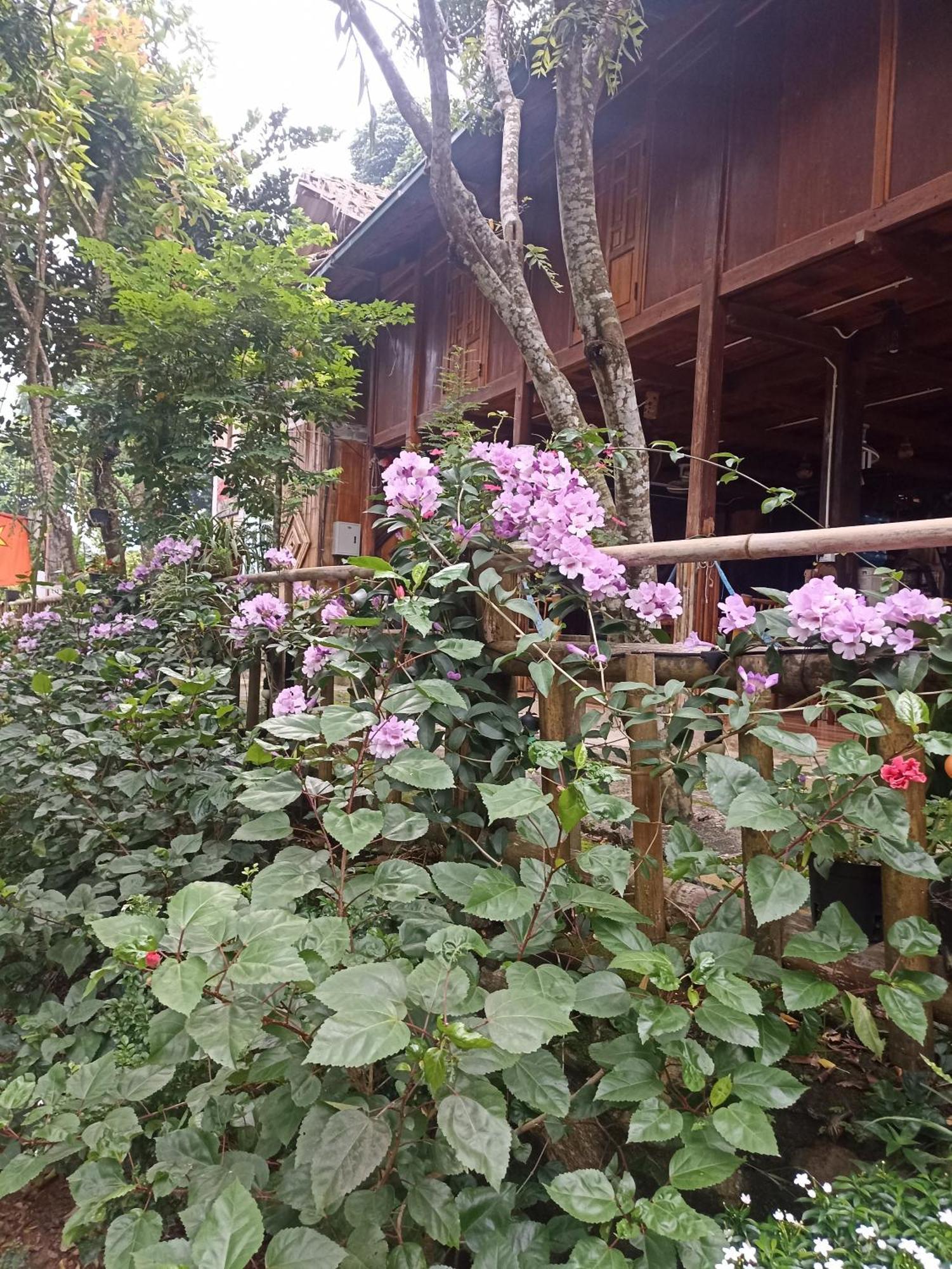 Thao Ly Homestay Mai Chau Hoa Binh Luaran gambar