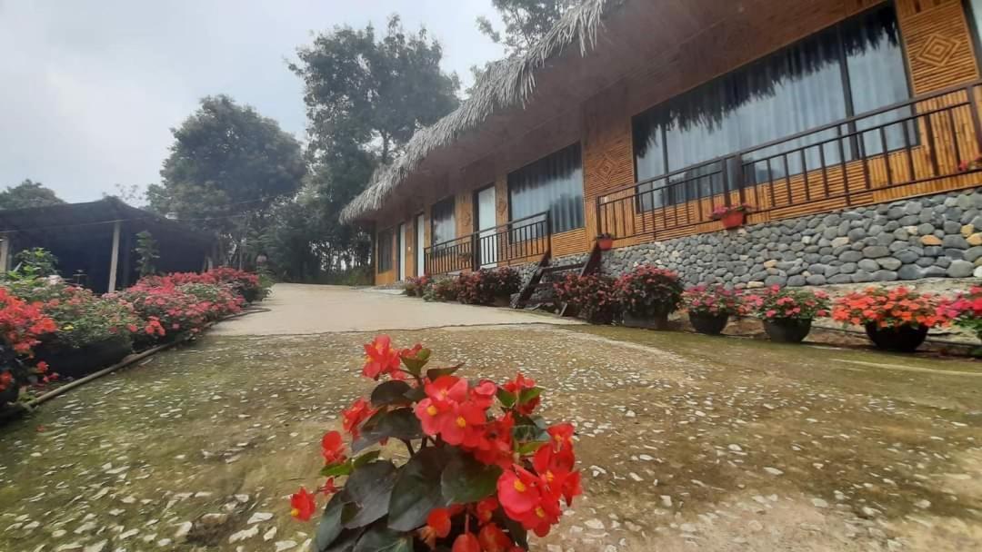 Thao Ly Homestay Mai Chau Hoa Binh Luaran gambar