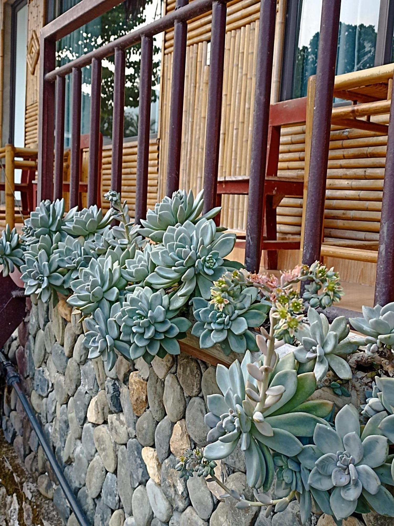 Thao Ly Homestay Mai Chau Hoa Binh Luaran gambar